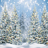 Allenjoy Winter Wonderland Forest Photography Backdrop Gbsx-00597