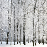 Allenjoy Winter Wonderland Forest Photography Backdrop Gbsx-00732