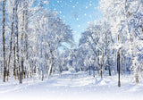 Allenjoy Winter Wonderland Forest Photography Backdrop Gbsx-00733