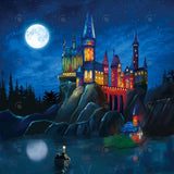 Wizard Castle Photography Backdrop GBSX-99994