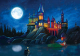 Wizard Castle Photography Backdrop GBSX-99994