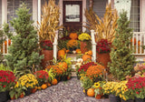 Fall Harvest Door Backdrop