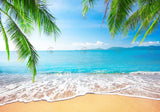 Summer Tropical Beach Backdrop