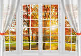 Autumn Tree Window Backdrop