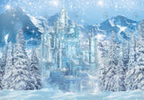 Winter Castle Photography Backdrop