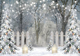 Winter Wonderland Photography Backdrop