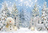 Winter Wonderland Snowman Backdrop