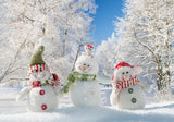 Winter Snowman Photography Backdrop