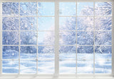 Winter Landscape Window Photography Backdrop