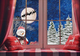 Winter Christmas Window Photography Backdrop