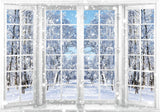 Winter White Window Photography Backdrop