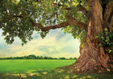 Nature Spring Backdrop