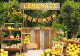 Summer Lemon Yellow Photo Backdrop