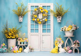 Blue Spring Easter Door Photography Backdrop