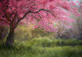 Cherry Blossom Tree Backdrop