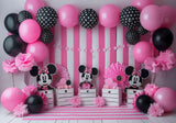 Pink And Black Mouse Cake Smash Backdrop