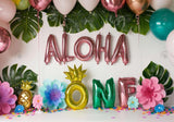 Hawaii Aloha Birthday ONE Backdrop