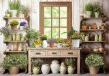 Spring Kitchen Shelf Window Backdrop