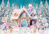 Winter Gingerbread House Lollipop Photo Backdrop