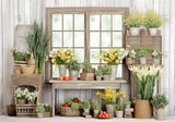 Spring Botanical Garden Window Photography Backdrop