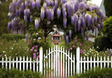 Spring Purple Flowers Garden Backdrop