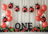 Red Ladybug ONE Birthday Backdrop