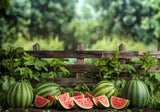 Summer Watermelon Backdrop
