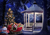 Winter Christmas Bandstand Photo Backdrop