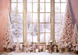 Pink Winter Window Photography Backdrop