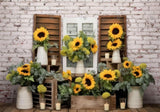 Spring Sunflower Window Photography Backdrop