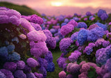 Hydrangea Garden Backdrop