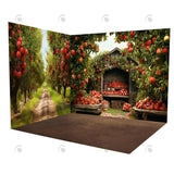 Allenjoy Backdrop Apple Orchard Barn Room Set YM8T-A9080&YM8T-A9034&GBSX-99762