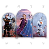 Allenjoy Frozen Theme Birthday Party Arch Backdrop Wall Cloth Cover