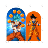 Allenjoy Dragon Ball Theme Birthday Party Arch Backdrop Wall Cloth Cover