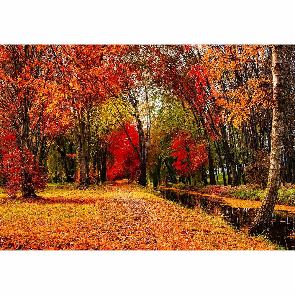 Allenjoy Autumn River Sunlight Forest Wonderful Landscape Backdrop - Allenjoystudio