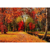 Allenjoy Autumn River Sunlight Forest Wonderful Landscape Backdrop