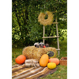 Allenjoy Autumn Grass Straw Carpets Pumpkin Backdrop - Allenjoystudio
