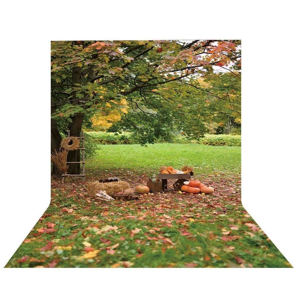 Allenjoy Marple Outdoor Pumpkin on Grass for Family Photography Backdrop - Allenjoystudio