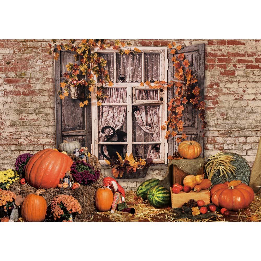 Allenjoy Autumn Pumpkin Window Brick Wall Outdoor Fall Photography Backdrop - Allenjoystudio