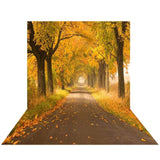 Allenjoy Autumn Forest Path Fall Maple Tree Backdrop