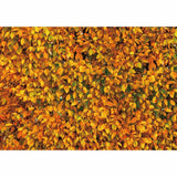 Allenjoy Autumn Bright Golden Leaves Backdrop for Photography - Allenjoystudio