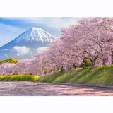 Allenjoy Backdrop for Photographic Studio Locations Beauty of Mt Fuji Japan