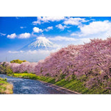 Allenjoy Backdrop for Photoshoot Locations Beauty of Mt Fuji Japan