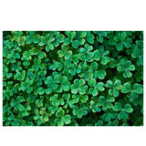 Allenjoy Green Clover Wall St Patrick's Day Backdrop