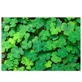 Allenjoy St Patrick's Day Symbol Green Leaf Backdrop