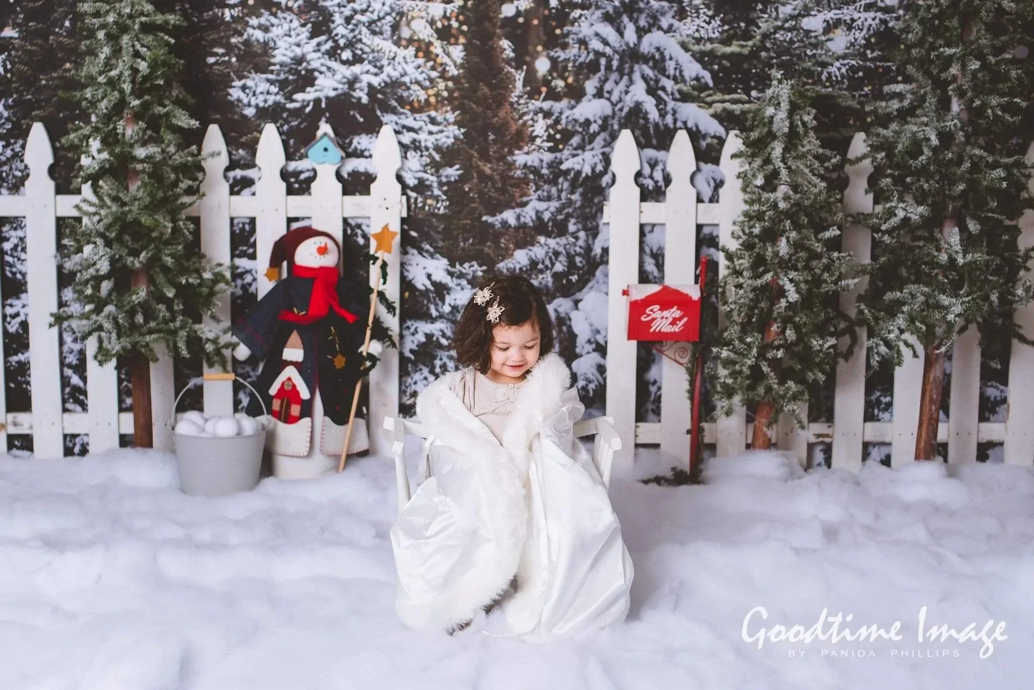 Allenjoy Christmas Santa Claus Pine Backdrop for Photography Studio Designed by Panida Phillips - Allenjoystudio