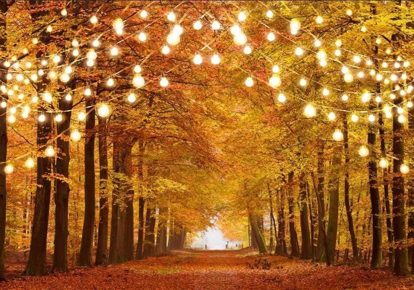 Allenjoy Glitter Autumn Natural Scenery  Forest Photography Backdrop - Allenjoystudio