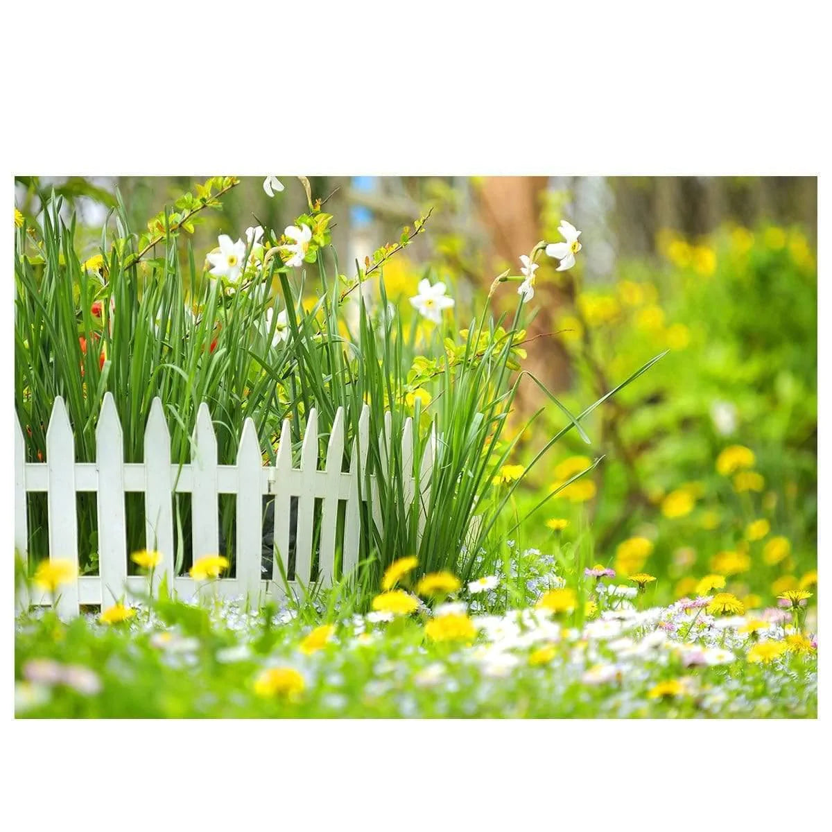 Allenjoy Spring Yellow and White Flower Ourdoor Backdrop - Allenjoystudio
