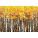 Allenjoy Fall Yellow Leaves Tree Painting Forest Backdrop