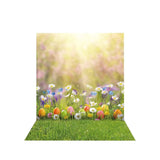 Allenjoy Spring  Easter Eggs and Flower Grass Sunshine Backdrop